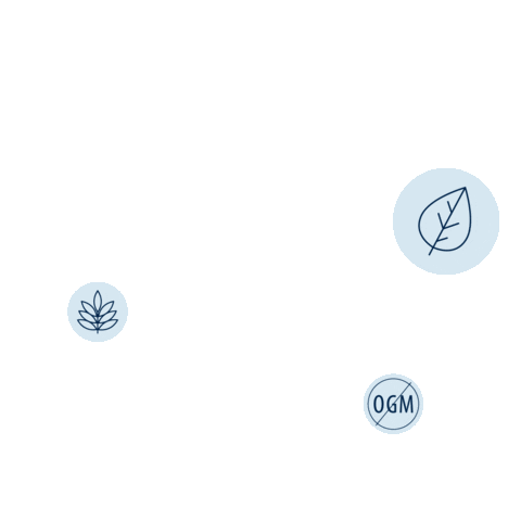 Florastor_canada giphyupload florastor canada florastor bénéfices florastor Sticker