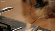 Australia Shaking GIF by MasterChefAU