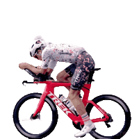 Triathlon Swimbikerun Sticker by Zoot Sports
