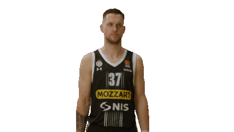 Partizan Sticker by sportmts