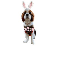 Happy New Year Sticker