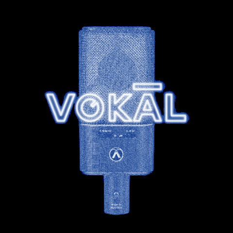 StudioVokal giphygifmaker podcast voice Brno GIF