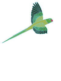 Parrot Sticker by Binary Style