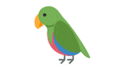 emojivid animals emoji parrot emojivid Sticker
