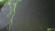 Ada Rt GIF by NVIDIA GeForce