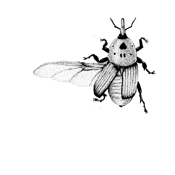 micromocion 003 - escaraviaje en vacio GIF by sargentoPez