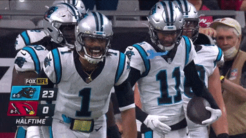 Cam Newton Football GIF by Carolina Panthers