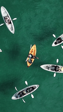EverydayCalifornia giphyupload drone san diego kayaking GIF