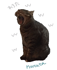 Angry Cat Sticker