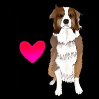 Dog Love GIF