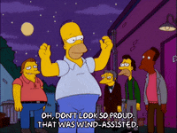 homer simpson episode 3 GIF