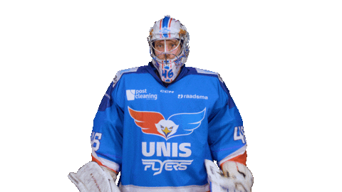 Goal Eagles Sticker by UNIS Flyers