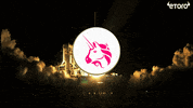 To The Moon Crypto GIF by eToro