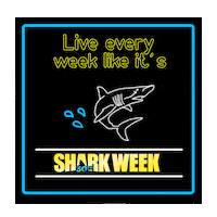 Neon Sign Sticker by Shark Week