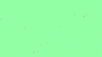 Animated Abstract Colorful Dynamic Transitions