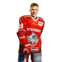 Goal Win Sticker by Eisbären Regensburg