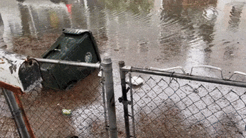 Trash Bin Floats Down Street as Record Rainfall Swamps Charleston