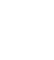 Stars Ster Sticker by Duifhuizen