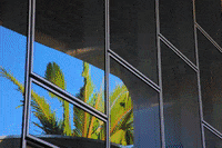 viaartistica praia va platinum leed GIF