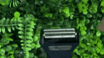 LKPM giphygifmaker GIF