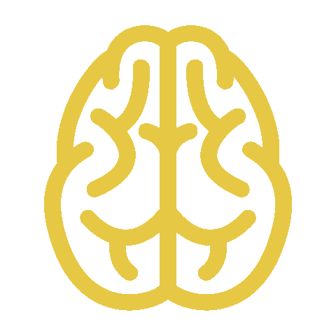 teamescape_official giphyupload adventure brain escape Sticker