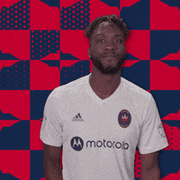 Chicago Fire No GIF by Major League Soccer