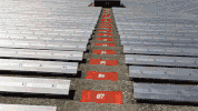 football stadium exercise GIF by University of Florida