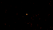 GIF by BT Digital
