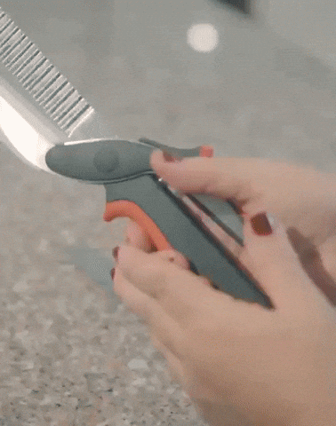 GIPHYGIP1 giphyupload GIF