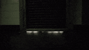 danger hyena GIF by Ice on Audience