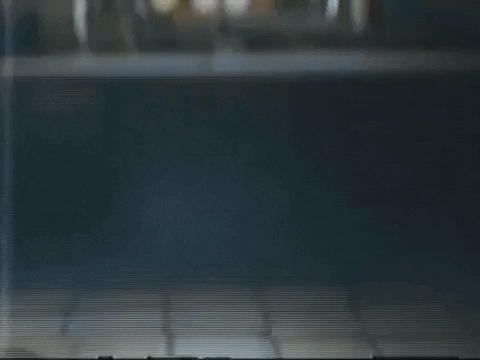 Footage Oaf GIF by jorgemariozuleta