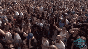 pitchfork music festival GIF by Pitchfork