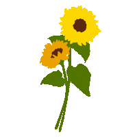 amayajade instagram flowers yellow sunflowers Sticker