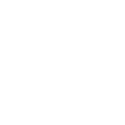 topvybz giphyupload rangertrooper ranger trooper topvybz Sticker