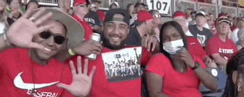 Nc State Baseball GIF by NCAA Championships