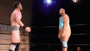 SHWAWrestling wrestling perth pro wrestling southern hemisphere wrestling alliance shwa GIF