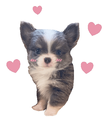 Heart Love Sticker