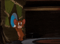 Tom And Jerry What GIF by Studio Voisier