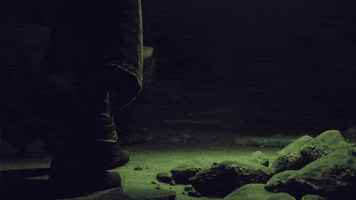 Destiny 2 GIF by DestinyTheGame