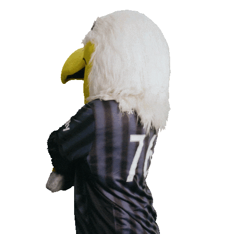 Soccer Mascot Sticker by Washington Spirit
