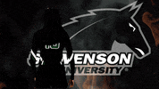 gomustangsports volleyball vb stevensonuniversity gomustangsports GIF