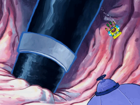 season 4 GIF by SpongeBob SquarePants