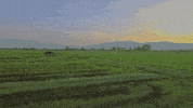 milk street thailand GIF by Christopher Kimball's Milk Street