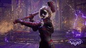 Harley Quinn Robin GIF by WBGames