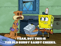 season 7 episode 3 GIF by SpongeBob SquarePants