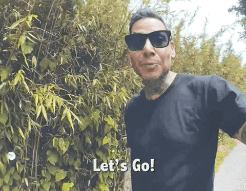 mxpx giphyupload lets go go punk GIF
