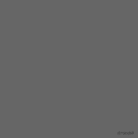 Halloween Fox GIF by Animation Domination High-Def