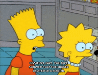 Season 1 GIF by The Simpsons