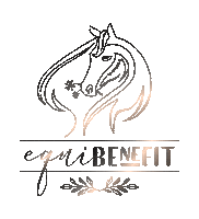 Horse Pony Sticker by HippoSport GmbH