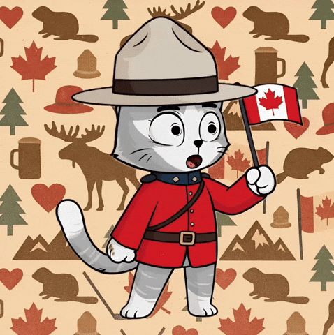 Canadian GIF by Hero Galaxy NFT